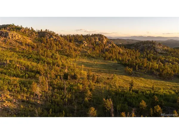 404 Valley, Florissant, CO 80816