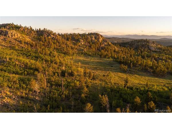 404 Valley, Florissant, CO 80816
