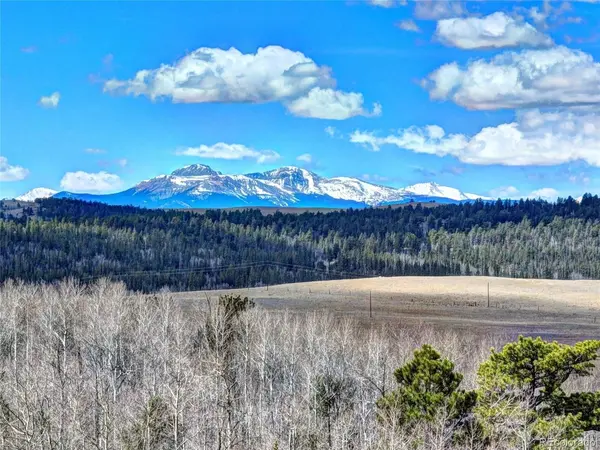 101 Patch, Como, CO 80432