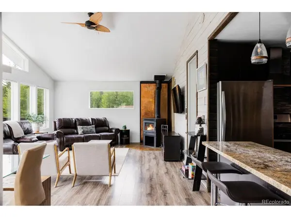 133 Gold Run, Alma, CO 80440