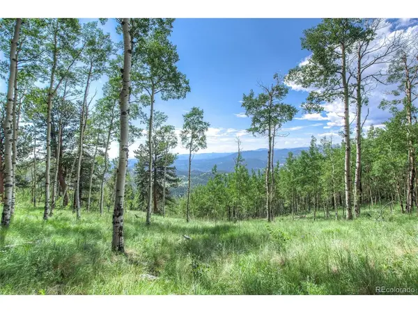 0 Robinson Hill, Golden, CO 80403