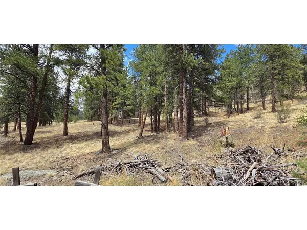 62430 US Highway 285, Bailey, CO 80421