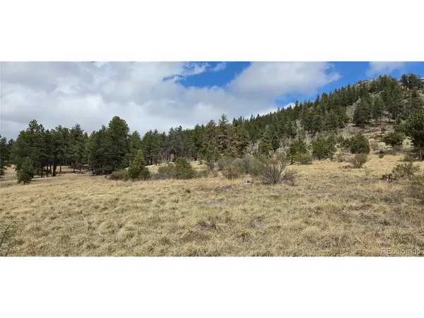 62430 US Highway 285, Bailey, CO 80421