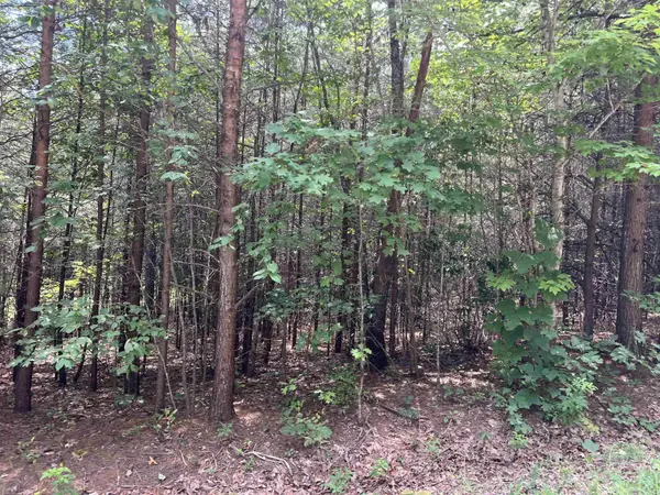 500 Goforth RD, Landrum, SC 29356