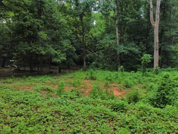 200 Goforth RD, Landrum, SC 29356