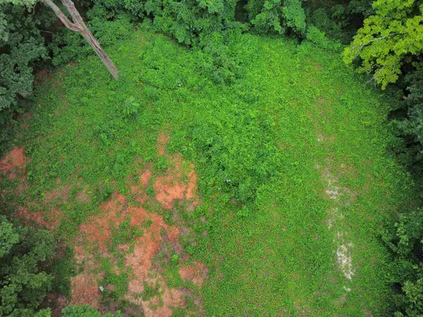 200 Goforth RD, Landrum, SC 29356