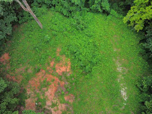 200 Goforth RD, Landrum, SC 29356