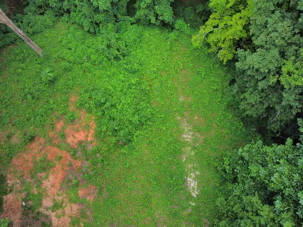 300 Goforth RD, Landrum, SC 29356