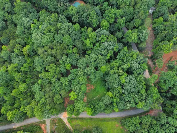 300 Goforth RD, Landrum, SC 29356