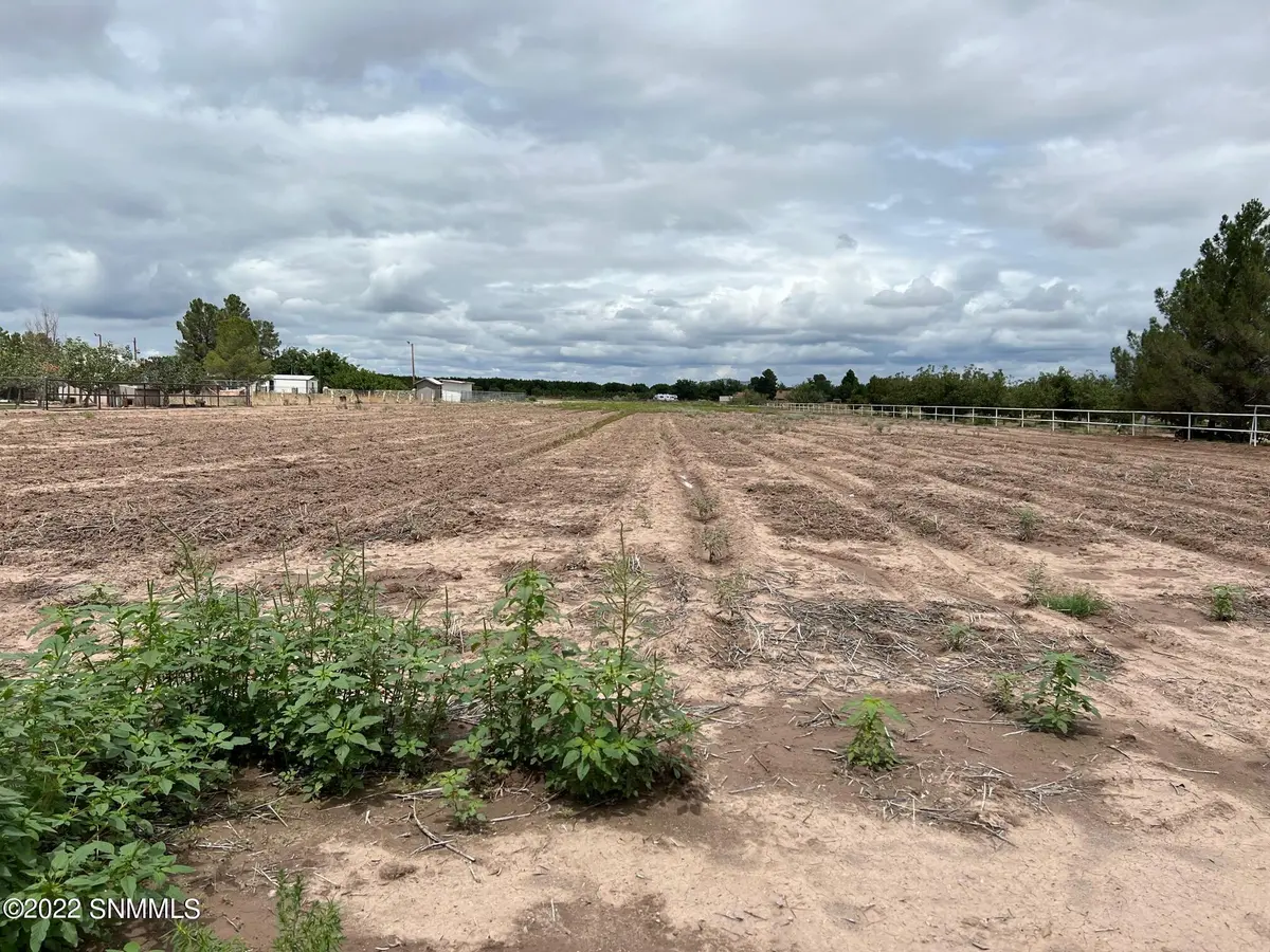TBD Vine AVE, La Mesa, NM 88044