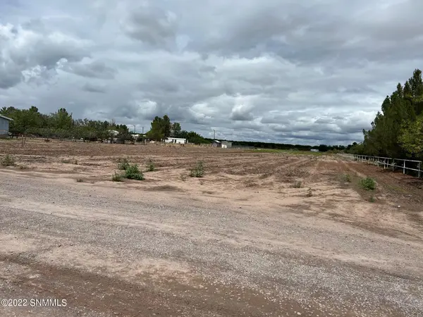 TBD Vine AVE, La Mesa, NM 88044
