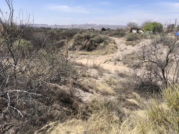 Lot 9 El Camino Real, Las Cruces, NM 88007