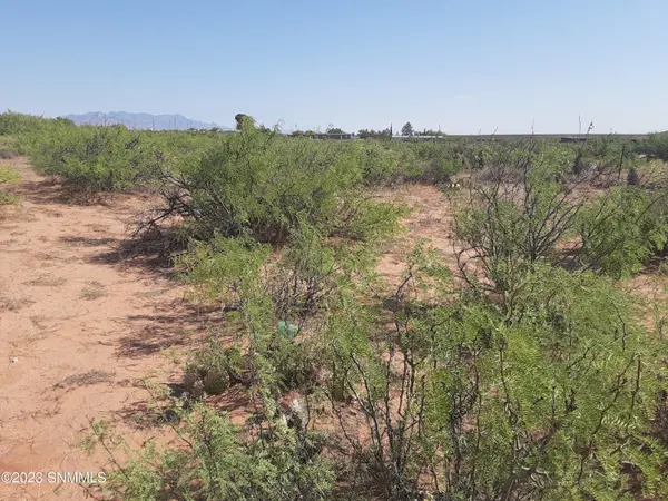 408 Mesilla View DR, Chaparral, NM 88081