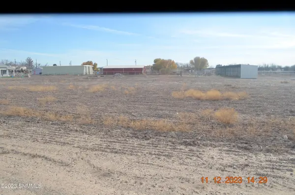1119 GREEN MEADOWS RD, Anthony, NM 88021