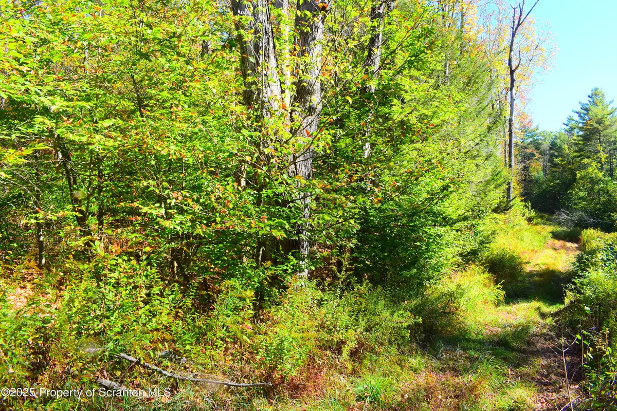 Westwoods Road RD, Brackney, PA 18812