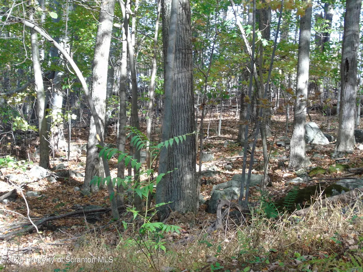 Deer run, Spring Brook Twp, PA 18444