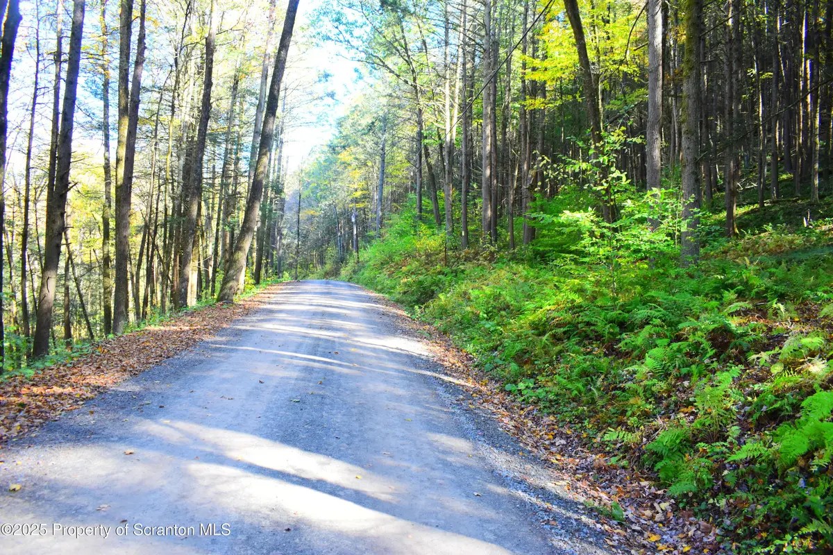 Graham Hollow Road, Hallstead, PA 18822