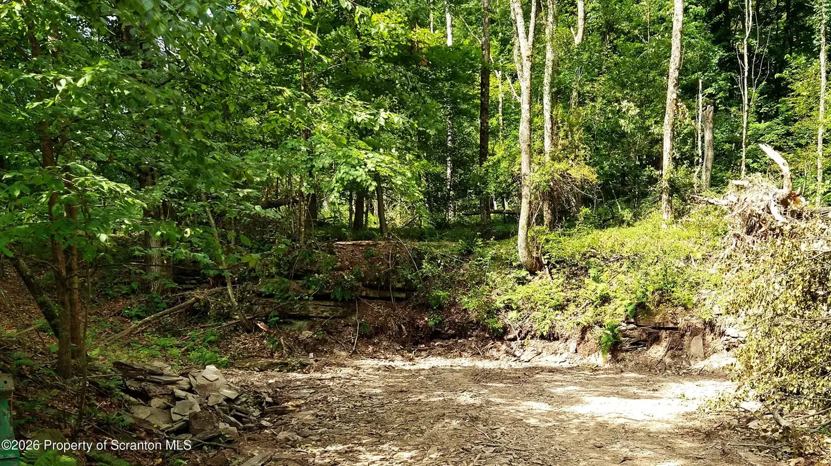 1013 Stearns RD, New Milford, PA 18834