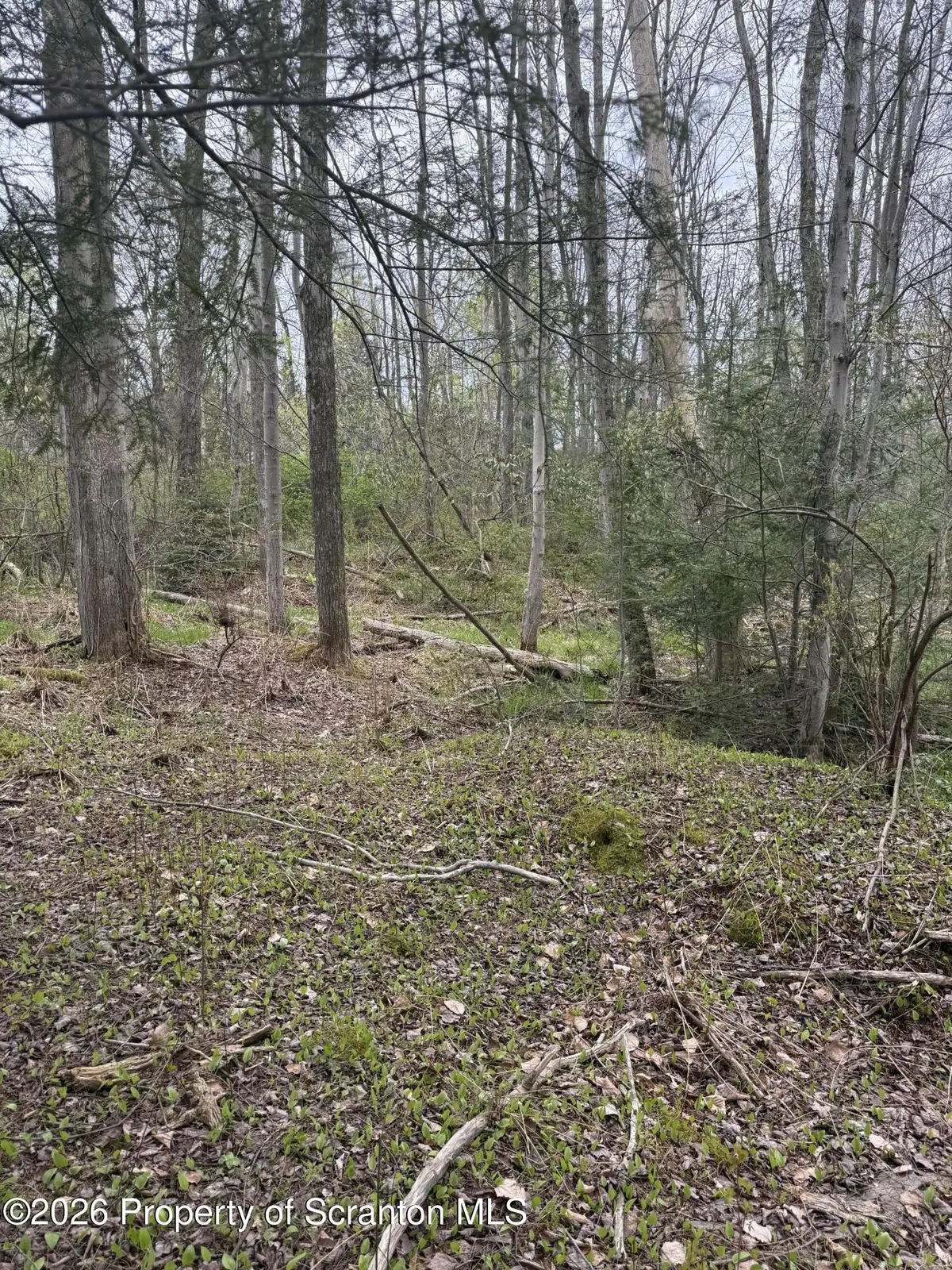 502  REAR, Covington Twp, PA 18444