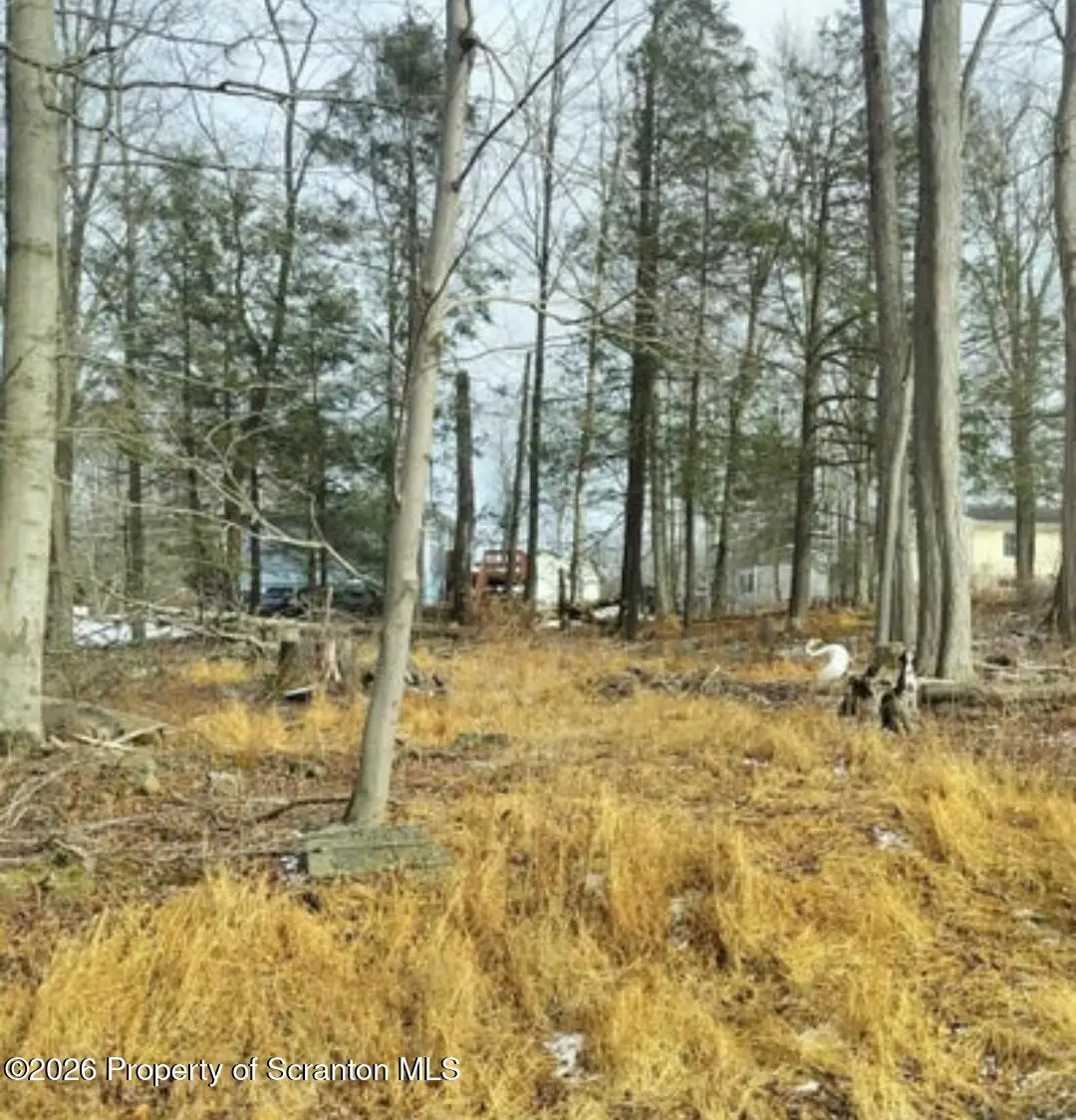 Tulip Lane & Lake Spangenberg RD, Jefferson Twp, PA 18436