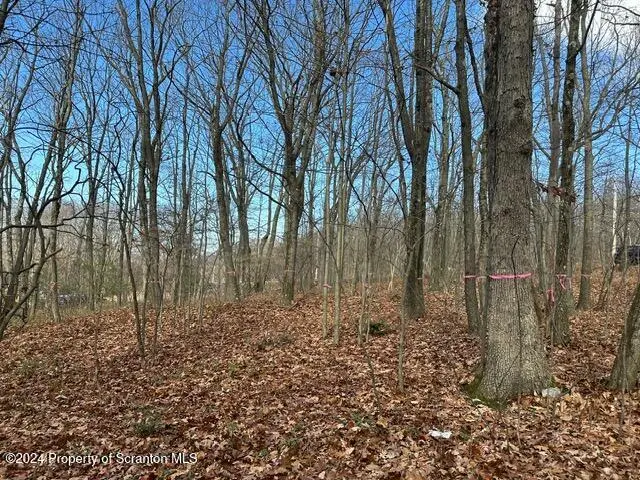 Archbald Mt RD, Jefferson Twp, PA 18436