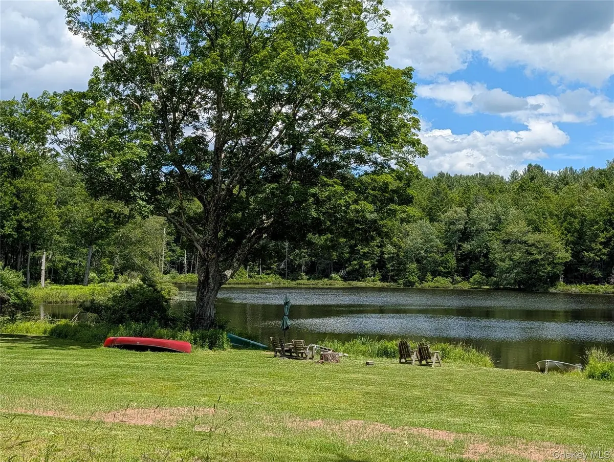 00 Gold Dan RD #c, Swan Lake, NY 12783