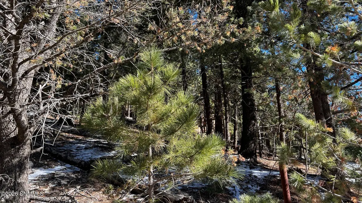 123 Canyon TRL, Cloudcroft, NM 88317