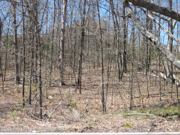 Julian LN, Archbald, PA 18403