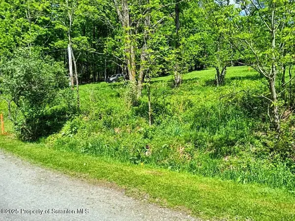 65 Reagan RD, Montrose, PA 18801