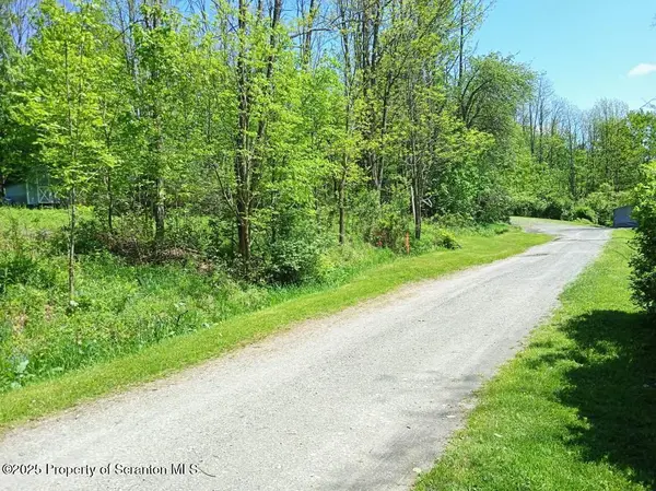 65 Reagan RD, Montrose, PA 18801