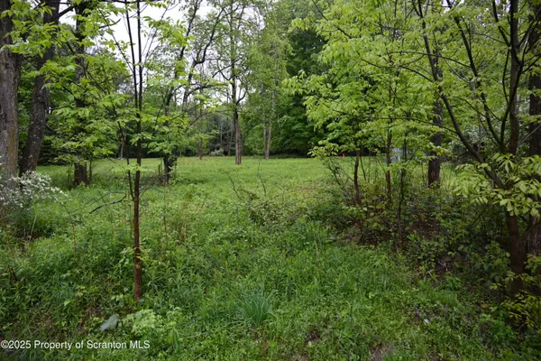 65 Reagan RD,  Montrose,  PA 18801