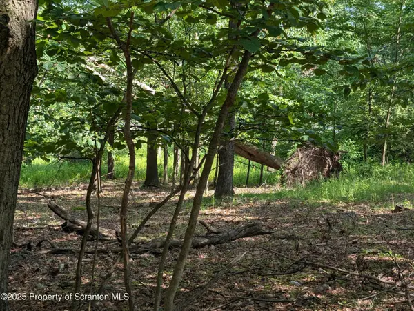 Marginal RD, Scranton, PA 18504
