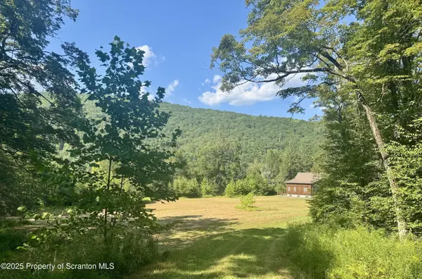 4382 River RD, Equinunk, PA 18417