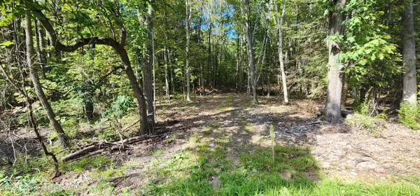 645 Evergreen DR, Falls, PA 18615