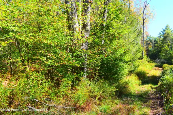 Westwoods Road RD, Brackney, PA 18812
