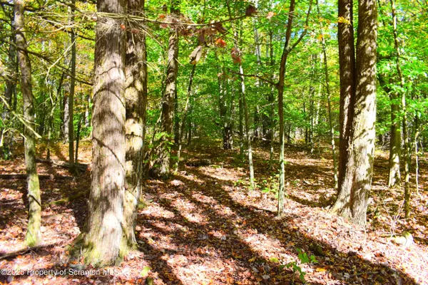 Westwoods Road RD, Brackney, PA 18812