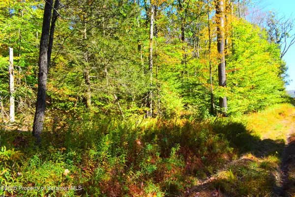 Westwoods Road RD, Brackney, PA 18812