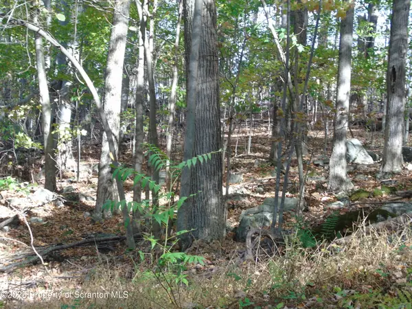 Deer run, Spring Brook Twp, PA 18444