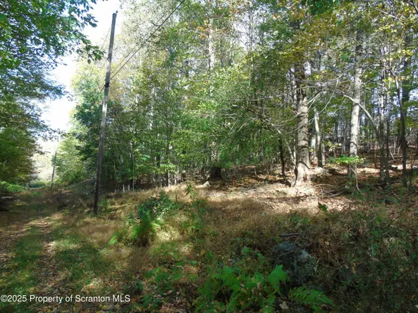 Deer run, Spring Brook Twp, PA 18444