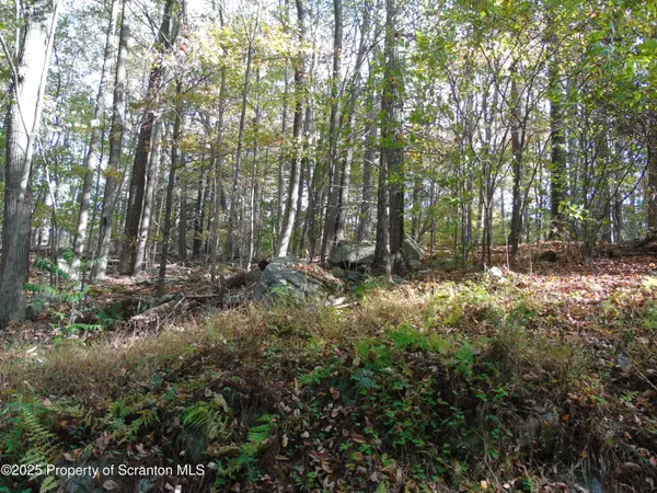 Deer run, Spring Brook Twp, PA 18444