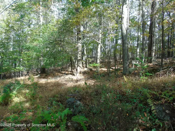 Deer run, Spring Brook Twp, PA 18444