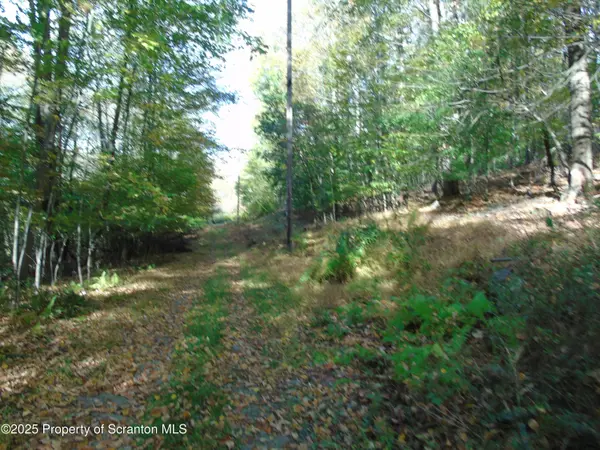 Deer run, Spring Brook Twp, PA 18444