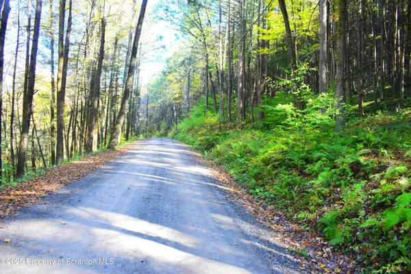 Graham Hollow Road, Hallstead, PA 18822