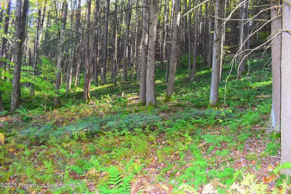 Graham Hollow Road, Hallstead, PA 18822