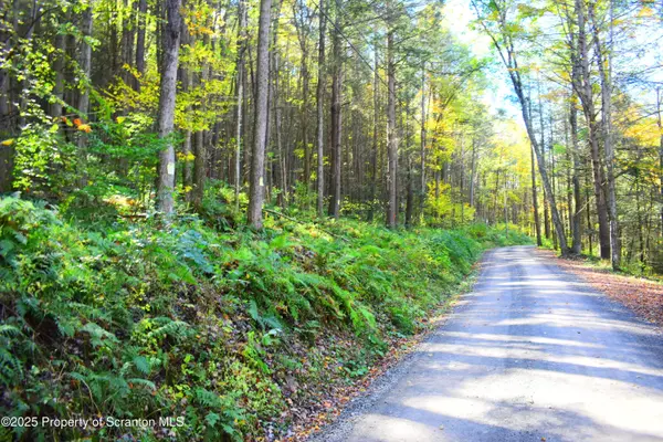 Graham Hollow Road, Hallstead, PA 18822