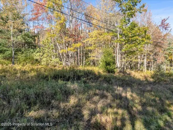 1689 Cork Hill RD, Brackney, PA 18812