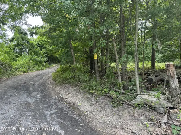 RT 307 & Trout Lane, Factoryville, PA 18419