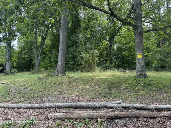 Rt 307 & Trout Lane, Lake Winola, PA 18625