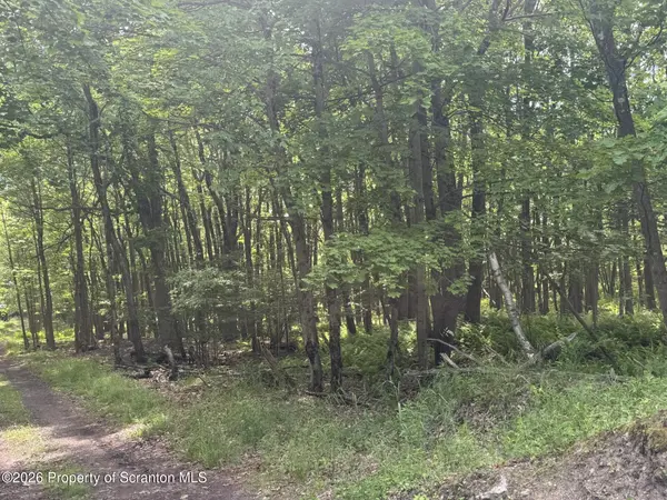 220 Salem Mountain RD, Carbondale, PA 18407