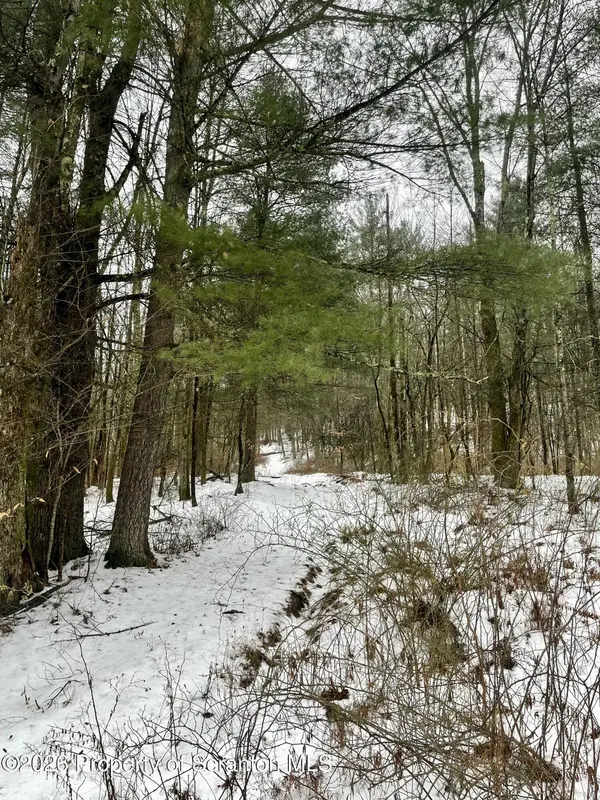 33 Arrowhead RD, Little Meadows, PA 18830
